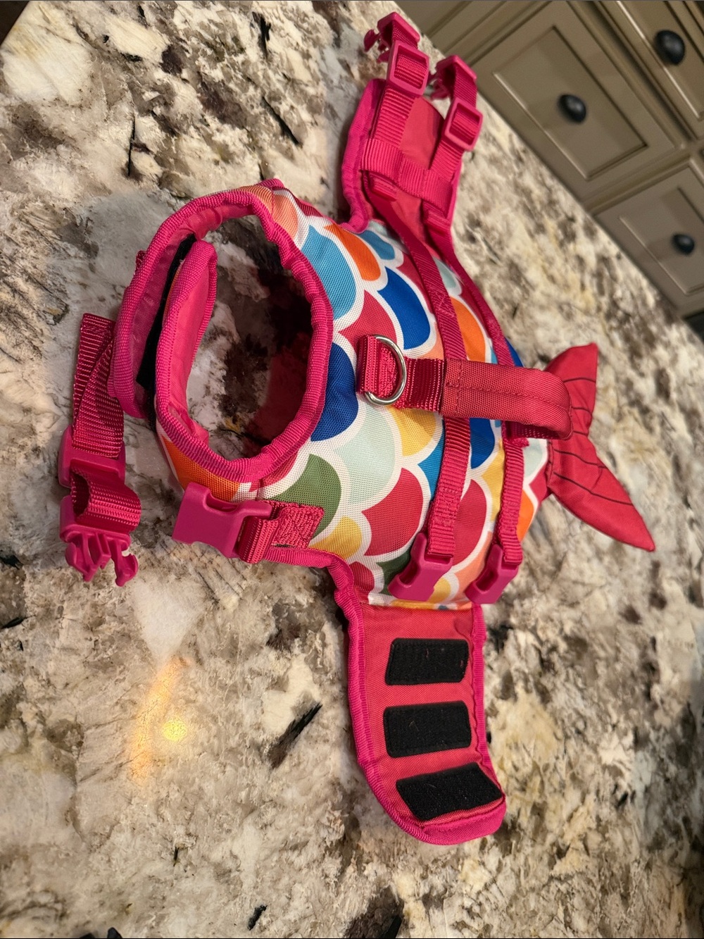 Colorful Rainbow Scale Dog Life Jacket - Pink Trim